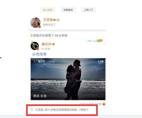 娱乐圈吃瓜网站视频,视频内容深度解析