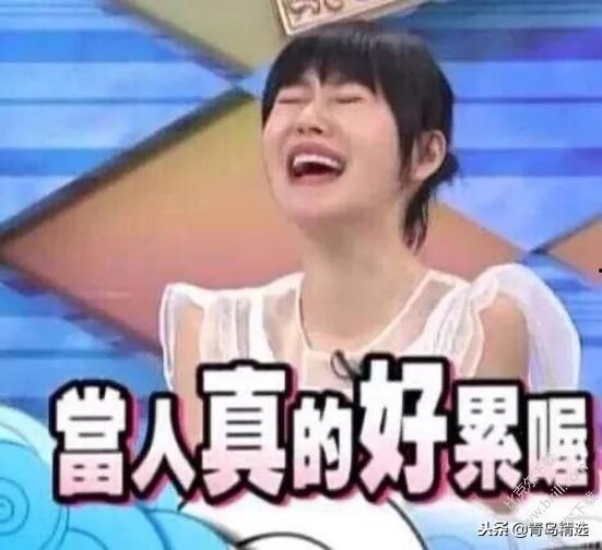 娱乐吃瓜社长,吃瓜社长的独家爆料与幕后真相